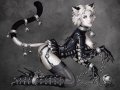 fetish_kitty_by_candra-d6cjkrp.jpg